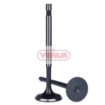 Engine_valve